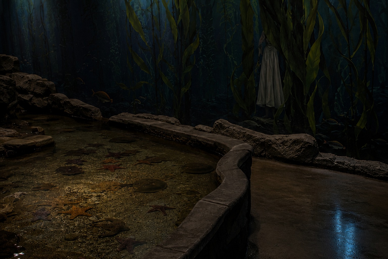 The Empty Aquarium Touch Tank Photo Showed A White Dress Behind The Kelp Mural reconstructed scene image 4