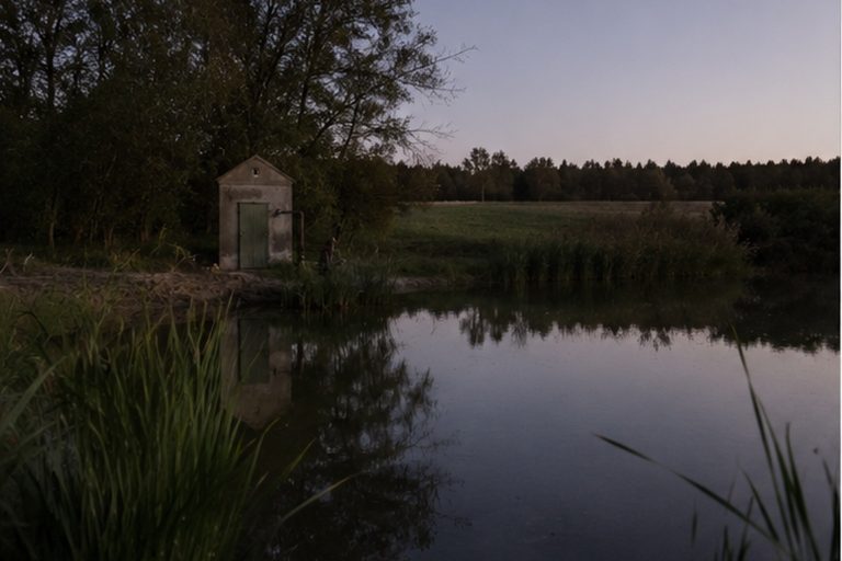 The Farm Pond Trail Camera Caught A Silent Silver Sphere Above The Pump House reconstructed scene image 1