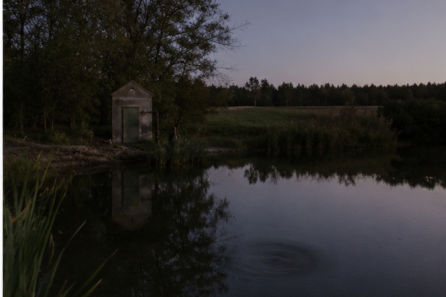 The Farm Pond Trail Camera Caught A Silent Silver Sphere Above The Pump House reconstructed scene image 4