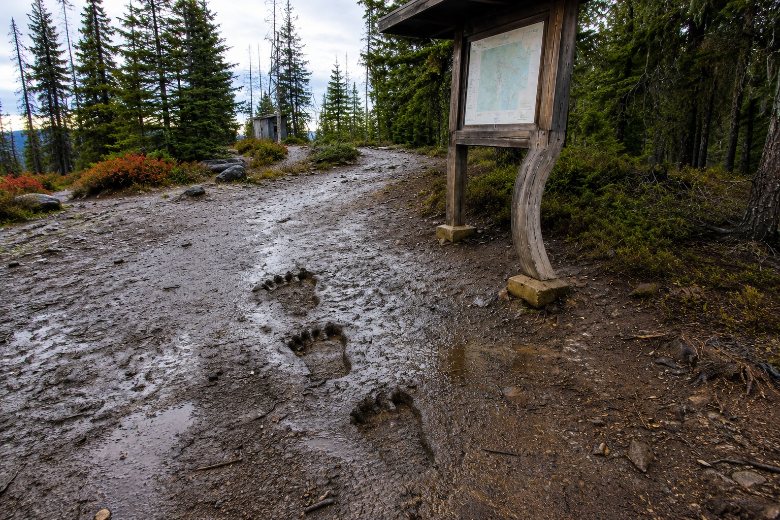 Editorial recreation of the Fire Tower Trail Camera Caught Bigfoot Beside The Bent Trail Map Kiosk story, image 4.