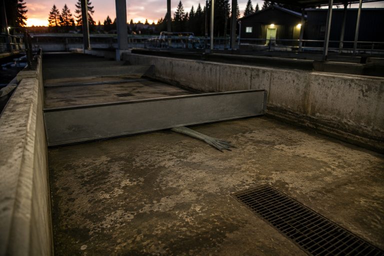 Editorial recreation of the Fish Hatchery Camera Saw A Webbed Arm Under The Empty Sorting Tank story, image 1.