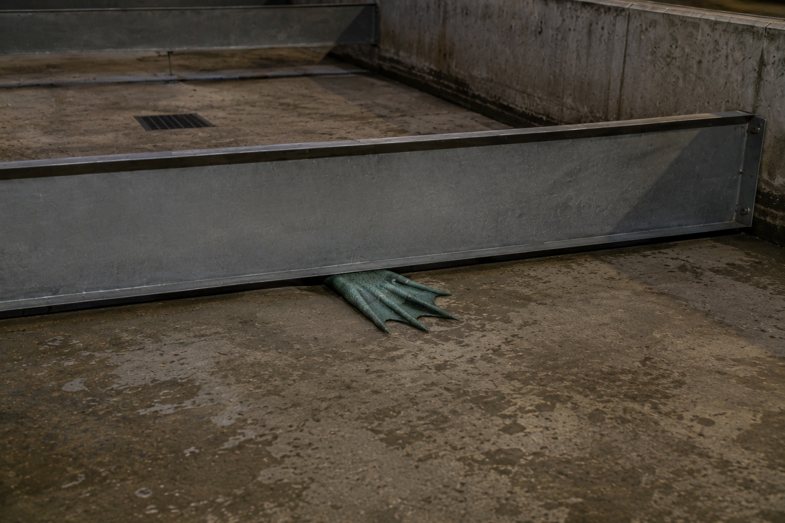 Editorial recreation of the Fish Hatchery Camera Saw A Webbed Arm Under The Empty Sorting Tank story, image 3.