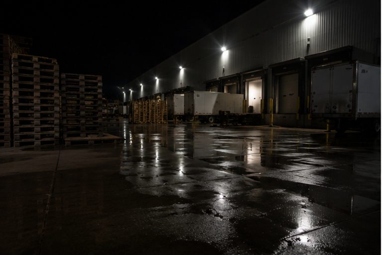 The Grocery Loading Bay Camera Saw A Hairless Thing Crawl Out From Under The Pallets reconstructed scene image 1
