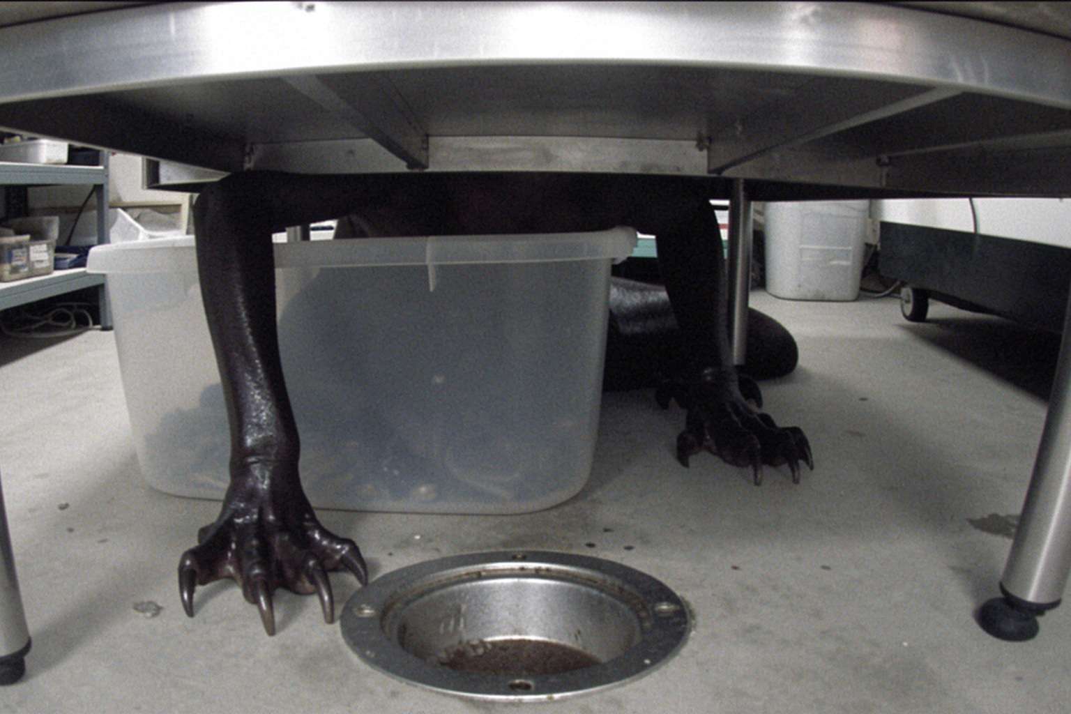 Editorial recreation of the Lake Marina Bait Freezer Camera story, image 3.