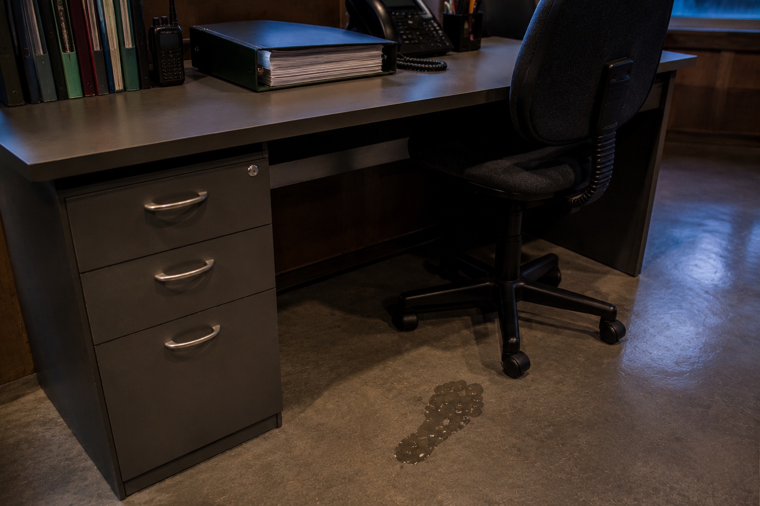 The Lakeside Camp Office Camera Showed Wet Footprints Starting At The Locked Desk