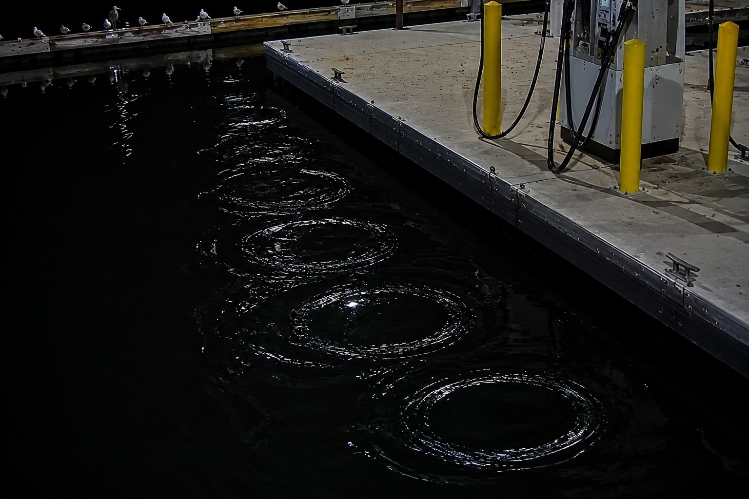 Editorial recreation of the Marina Fuel Dock Camera Showed Ripples Around Legs No One Could See story, image 2.