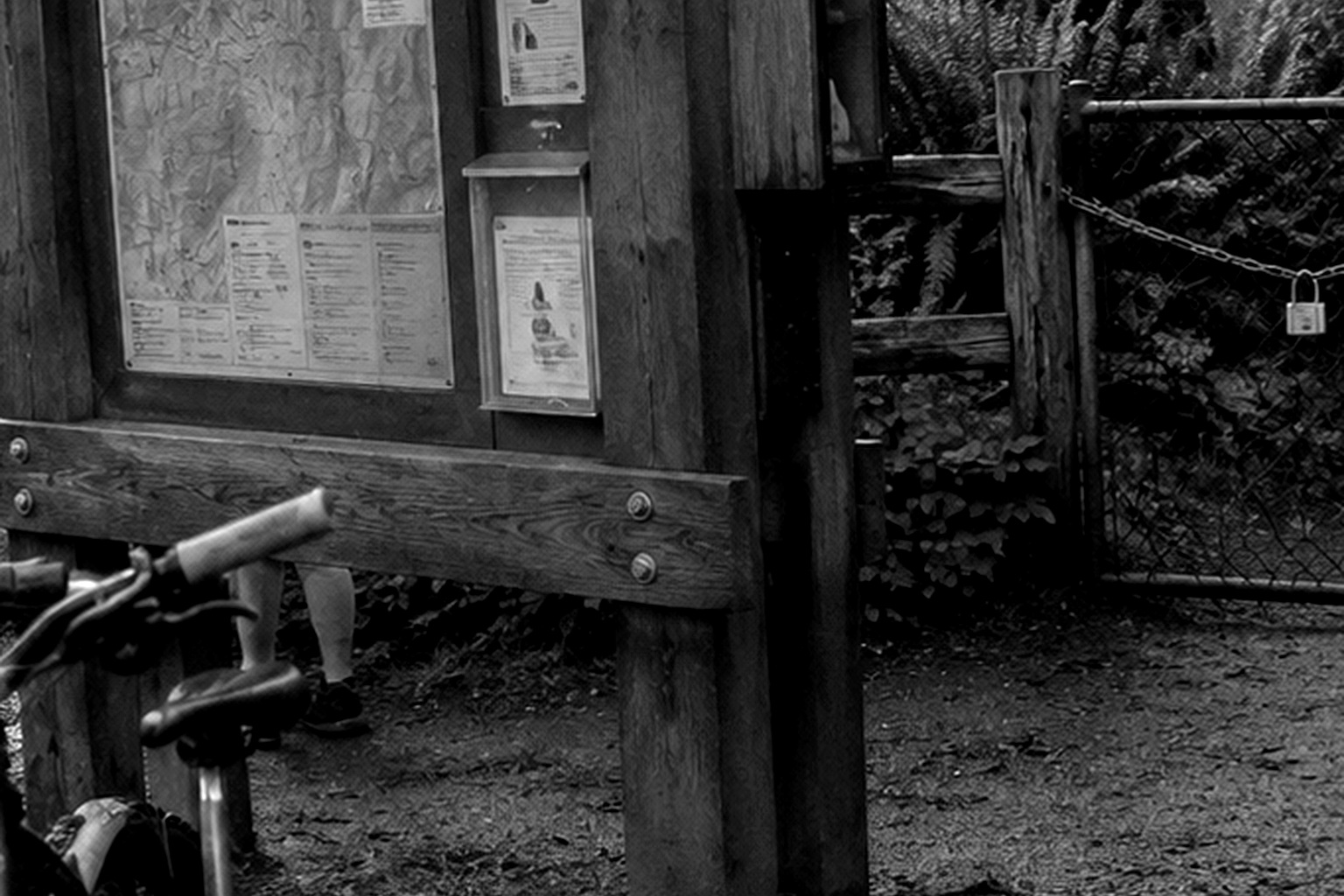 Editorial recreation of the Mountain Bike Trail Camera Showed A Hairy Figure Behind The Trail Map Kiosk story, image 3.