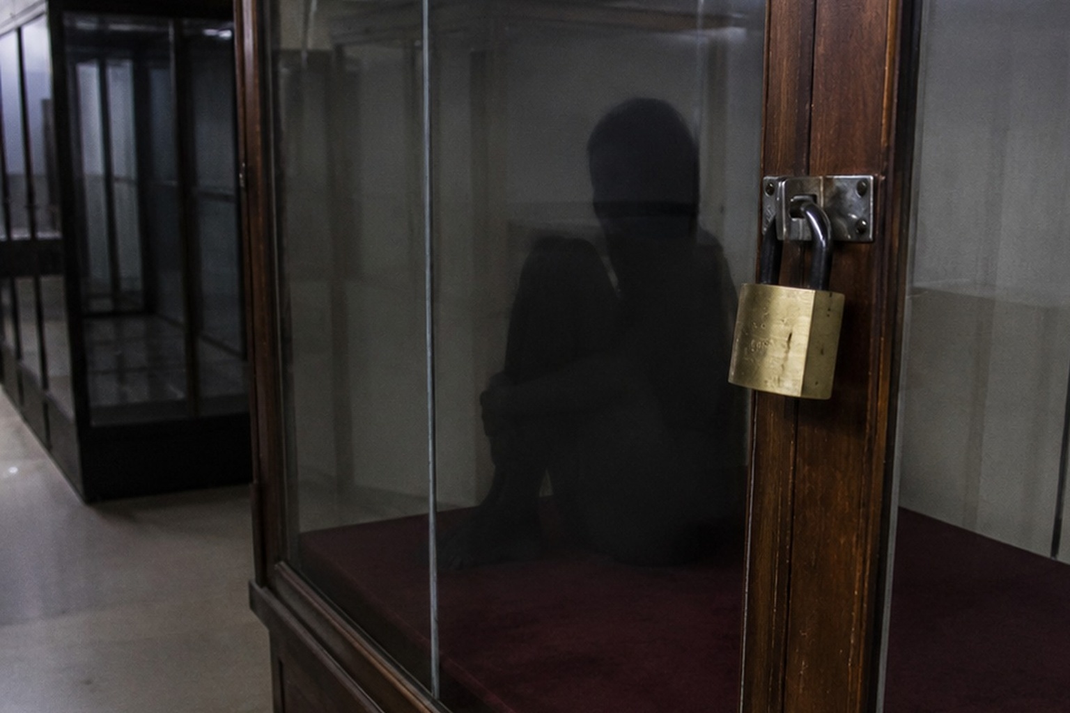 Editorial recreation of the Museum Storage Camera Showed A Shadow Sitting Inside The Empty Display Case story, image 2.