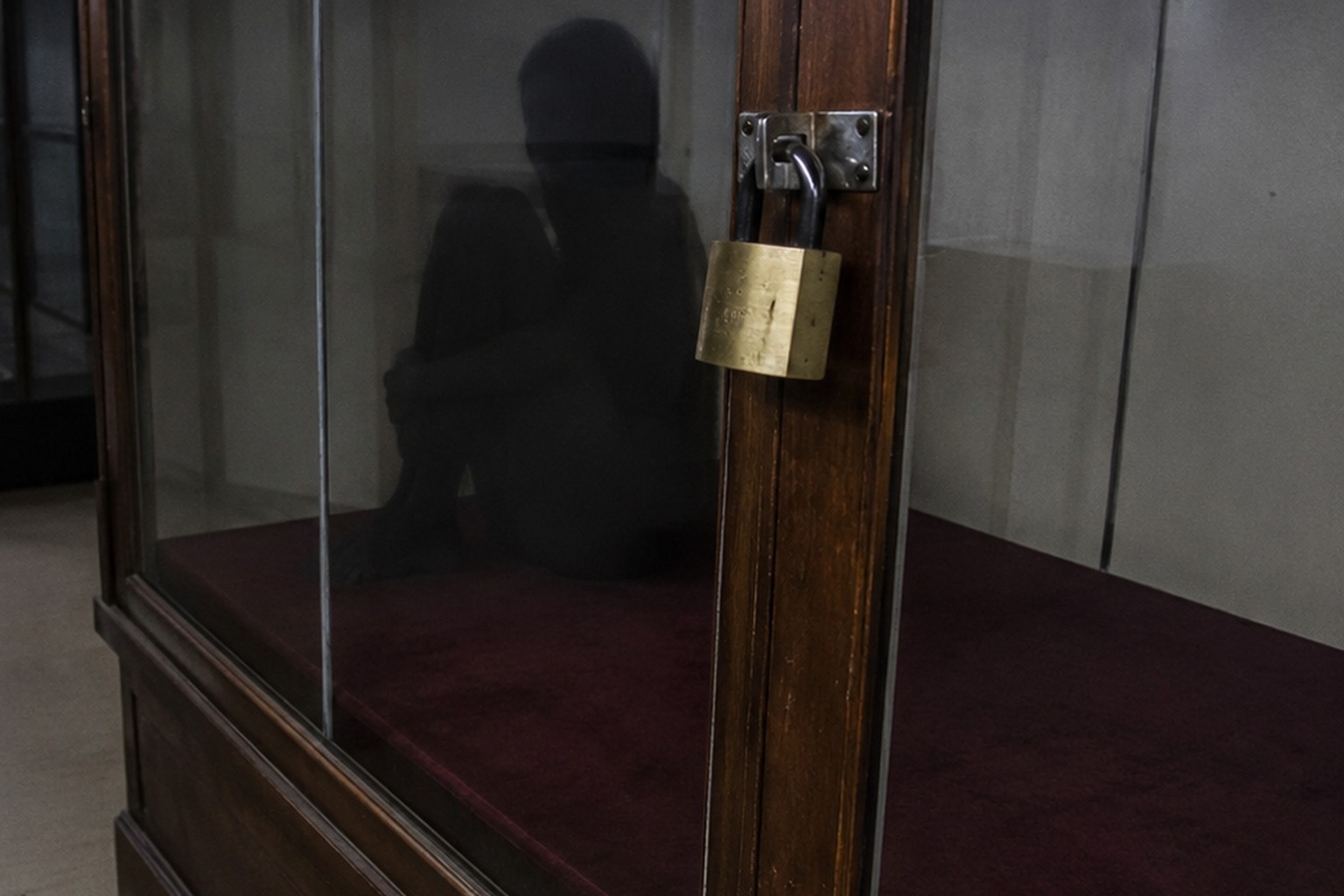 Editorial recreation of the Museum Storage Camera Showed A Shadow Sitting Inside The Empty Display Case story, image 3.