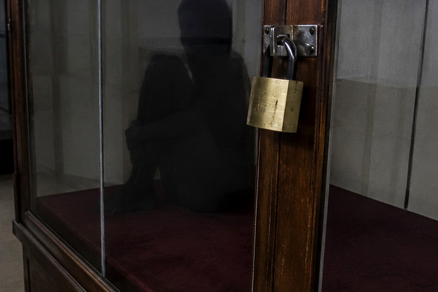 Editorial recreation of the Museum Storage Camera Showed A Shadow Sitting Inside The Empty Display Case story, image 4.