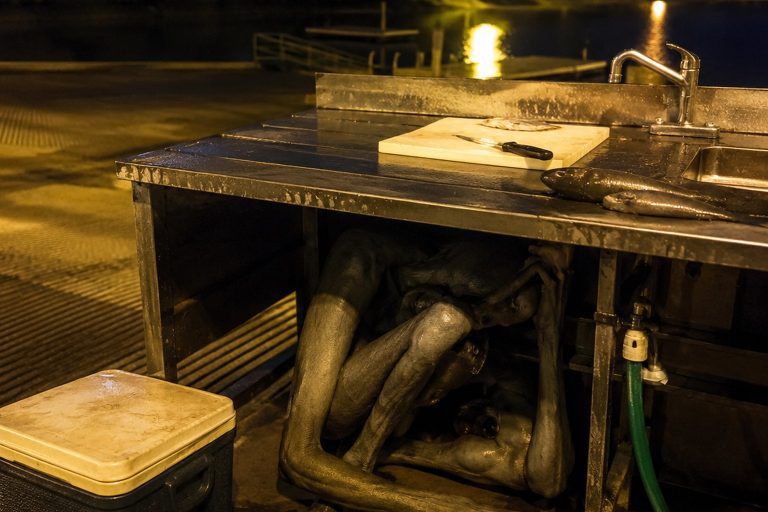 The Riverside Boat Ramp Photo Showed A Hairless Crooked Thing Under The Fish Cleaning Table reconstructed scene image 1