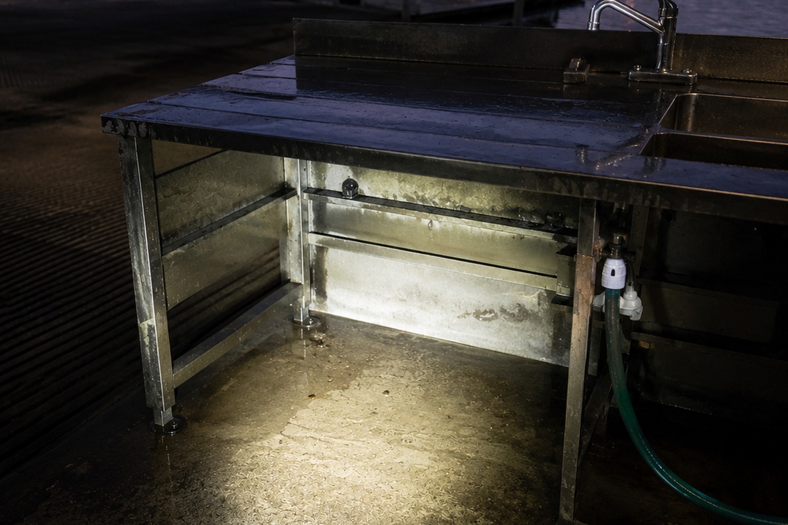 The Riverside Boat Ramp Photo Showed A Hairless Crooked Thing Under The Fish Cleaning Table reconstructed scene image 3