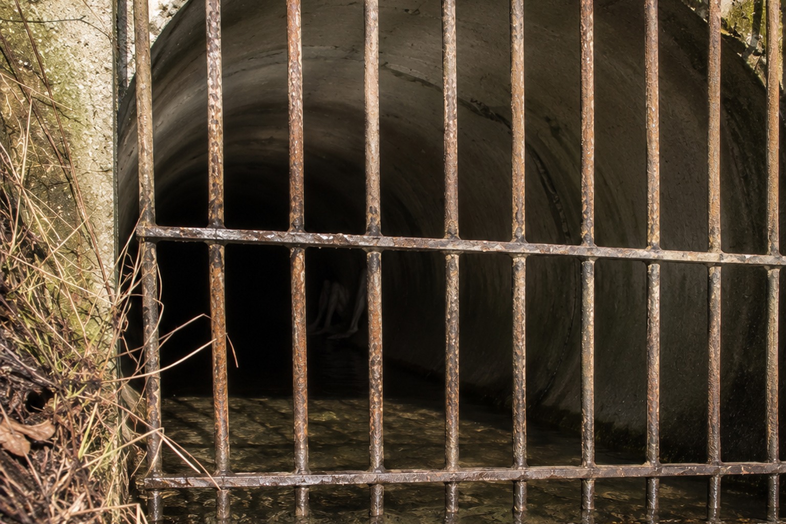 Editorial recreation of the Rural Culvert Inspection Photo Showed A Hairless Bent-Leg Thing Behind The Drain Gate story, image 4.