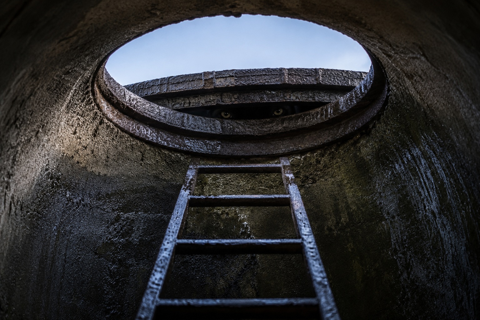 Editorial recreation of the Sewer Crew Heard Scratching Before They Saw The Eyes Under The Manhole story, image 3.