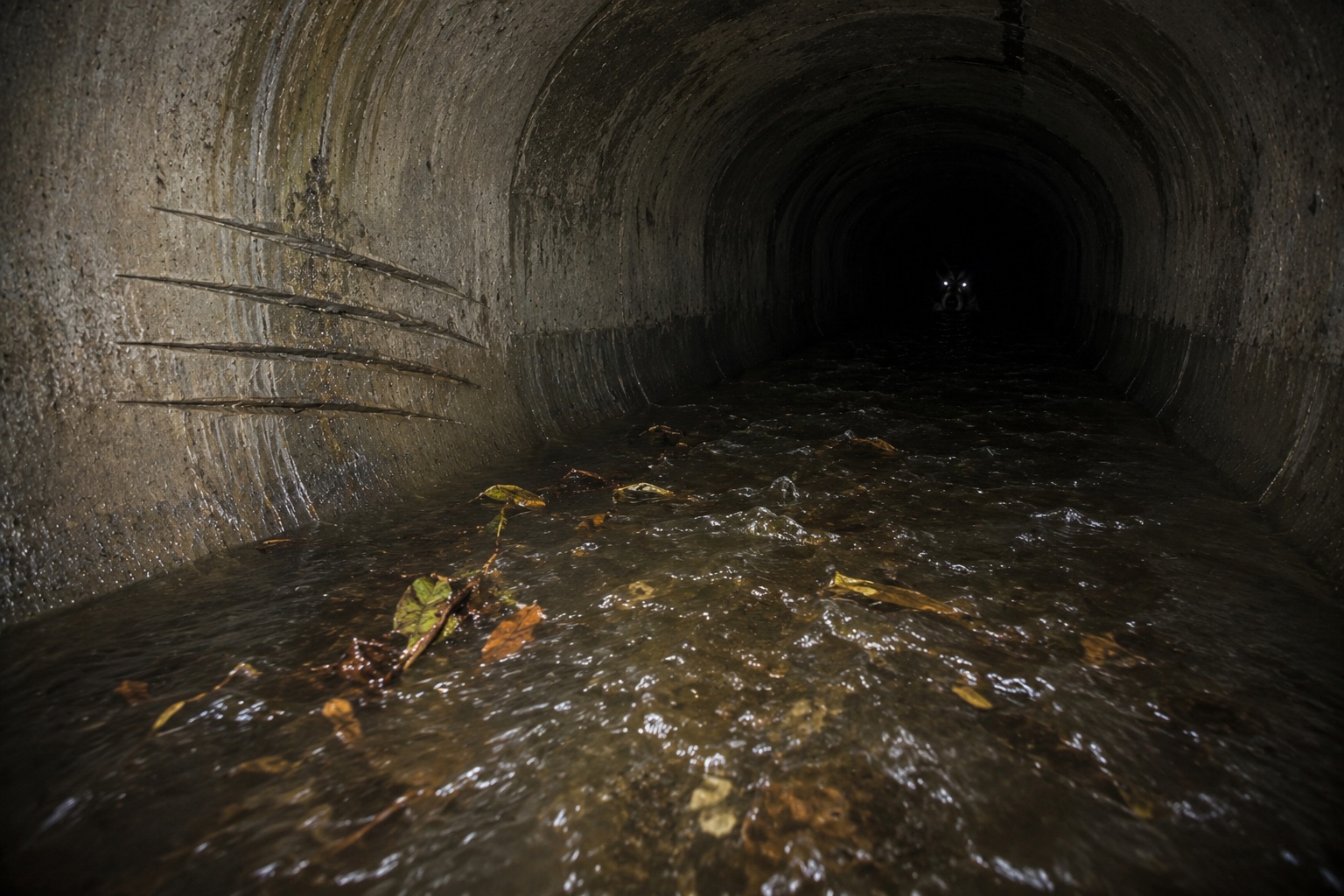 Editorial recreation of the Sewer Crew Heard Scratching Before They Saw The Eyes Under The Manhole story, image 4.