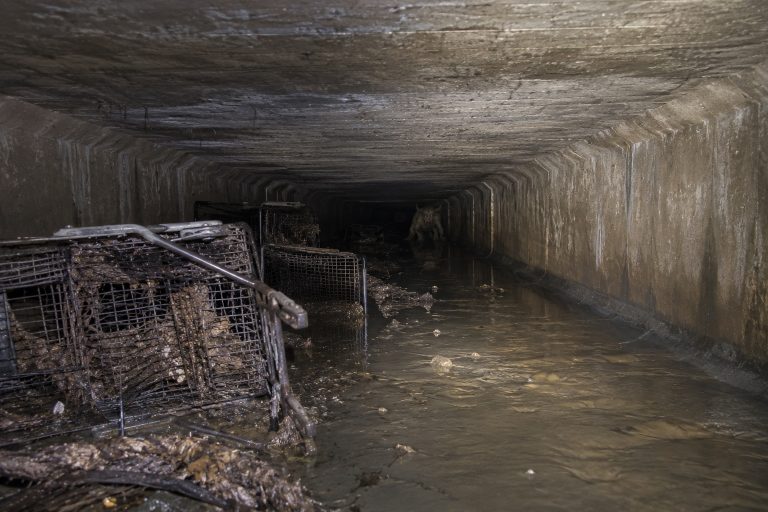 Story-style recreation for The Storm Drain Worker Looked Down And Saw Horns Under The Shopping Center, image 1.