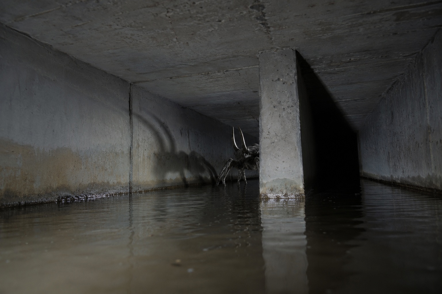 Story-style recreation for The Storm Drain Worker Looked Down And Saw Horns Under The Shopping Center, image 2.