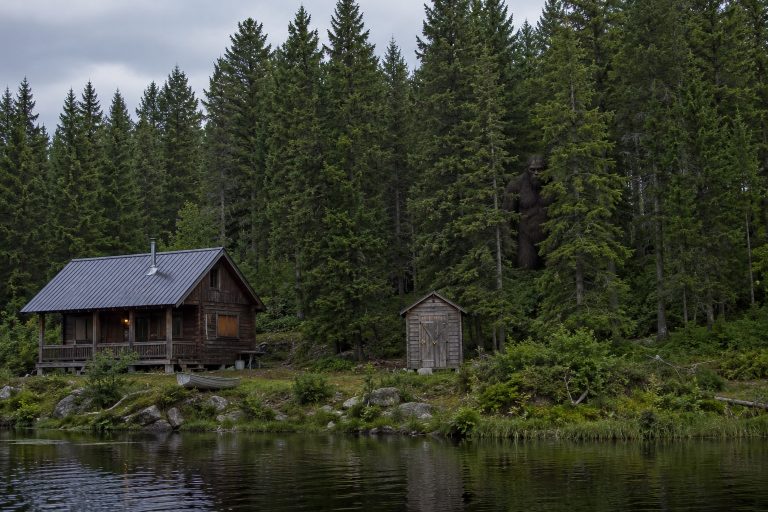 Editorial recreation of the Trail Camera Caught Bigfoot Half Hidden In The Pine Trees Behind The Fishing Cabin story, image 1.