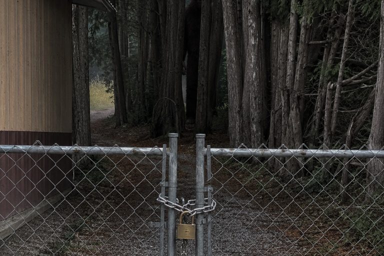 Editorial recreation of the Trail Camera Caught Bigfoot Watching From The Cedar Trees Behind The Bait Shop story, image 1.