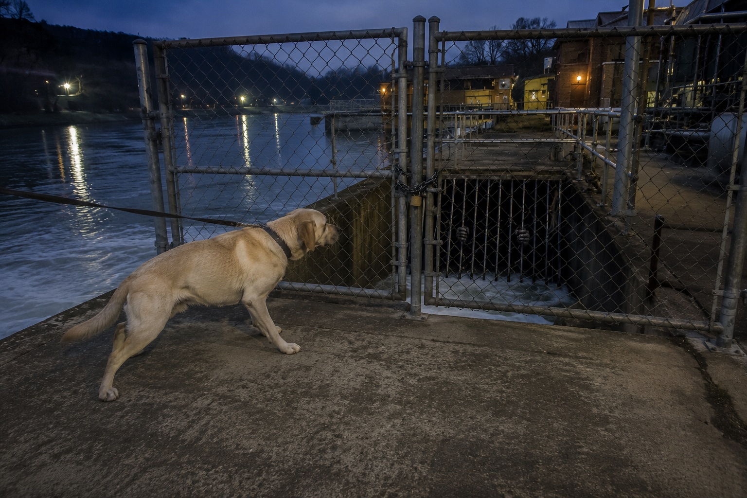 Editorial recreation of the Water Treatment Plant Camera Saw Webbed Hands Inside The Intake Gate story, image 2.