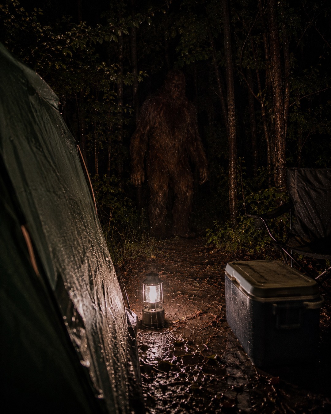 Editorial illustration of a Bigfoot-like figure near a quiet campsite lantern.