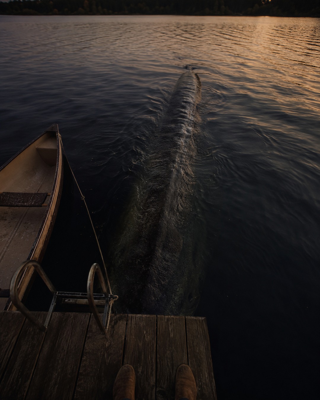Editorial illustration of a long dark lake-creature body visible beneath a dock beside a canoe.