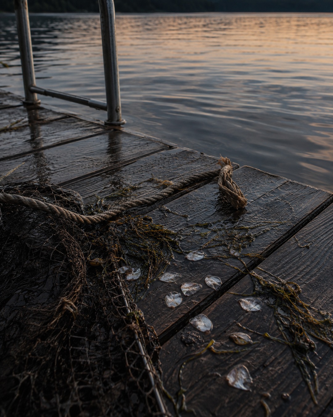 Editorial illustration of a torn fishing net and wet dock gear used to discuss lake monster evidence claims.