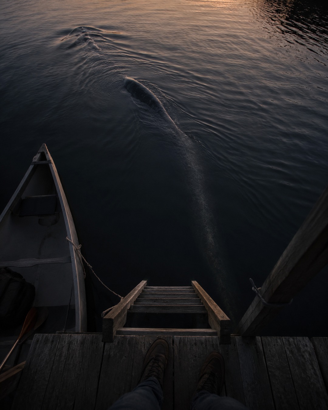 Editorial illustration of a long dark lake creature passing beneath a dock at dusk.