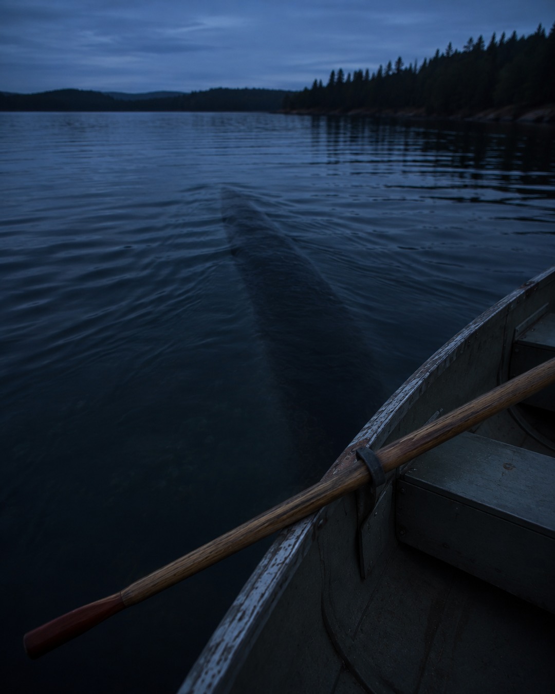 Editorial illustration of a small boat beside a large submerged shape under dark lake water.
