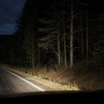 Bigfoot Sightings Explained: Road Crossings, Tree Lines, Smells And Brief Glimpses