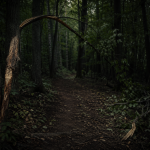 Bigfoot Signs In The Woods: Broken Branches, Bent Trees And Other Claimed Evidence