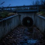 Urban Cryptid Reports Around Culverts, Storm Drains, Bridges And Ditches