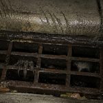 Why Do Creature Stories Mention Claws Scraping Storm Drains?