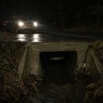 Why Do Creature Stories Mention Teeth Showing In Culverts?