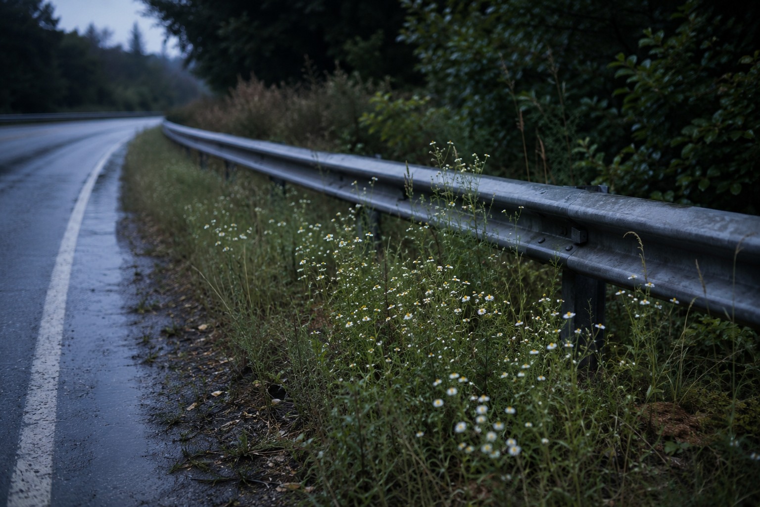 Editorial recreation for Why Do People See A Woman In White Beside Roads?, image 2.