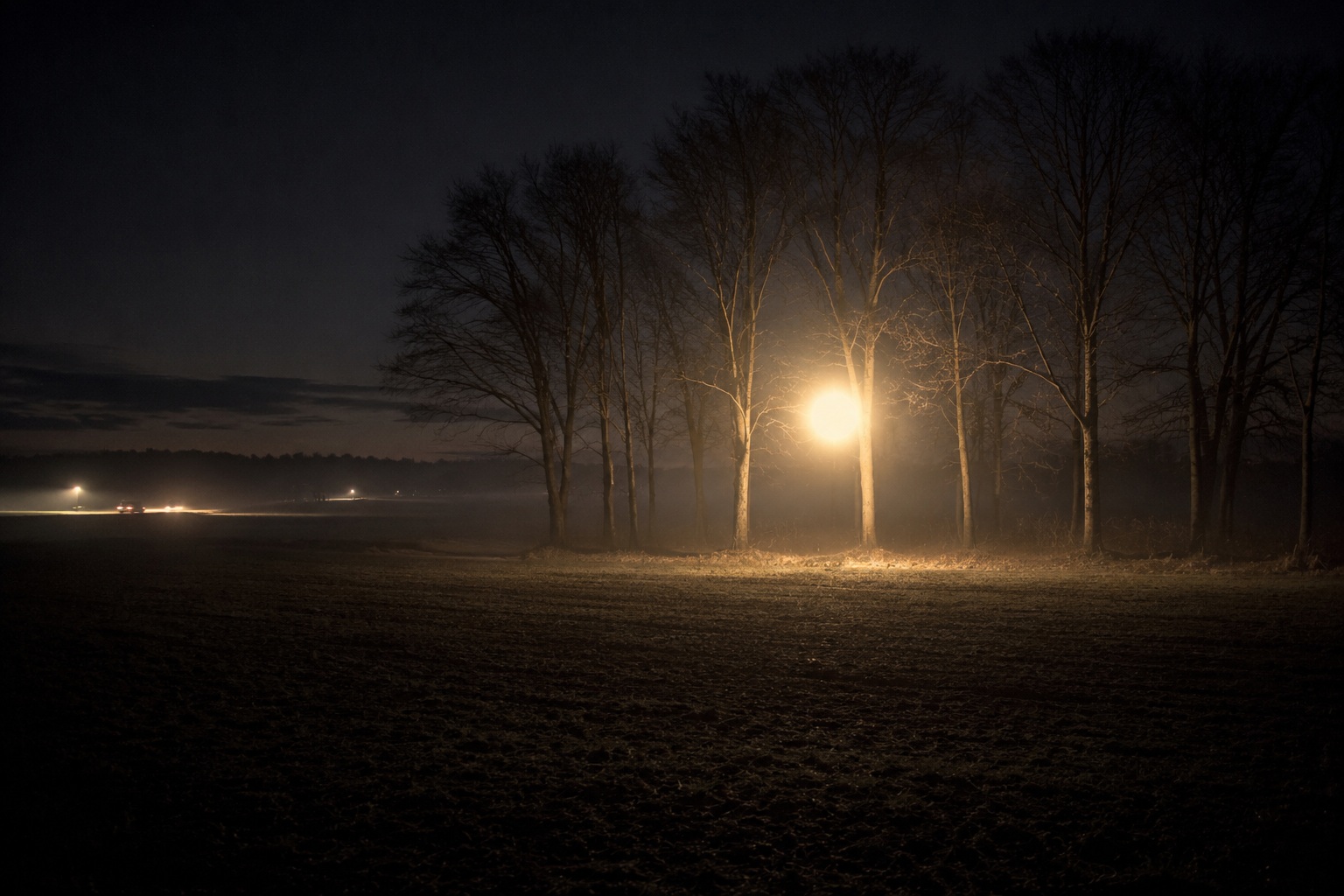 Editorial recreation for Why Do People See Glowing Orbs Over Fields At Night?, image 2.